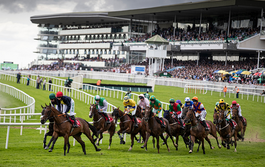 Why Horse Trainers at the Galway Races Choose Ifor Williams Horsebox Trailers