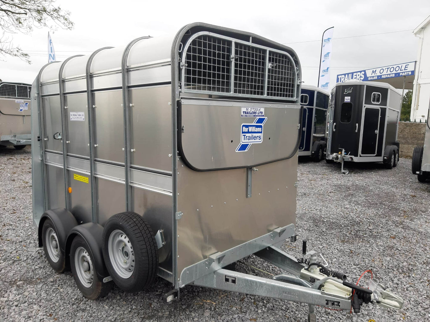 Ifor Williams TA5 8 Trailer