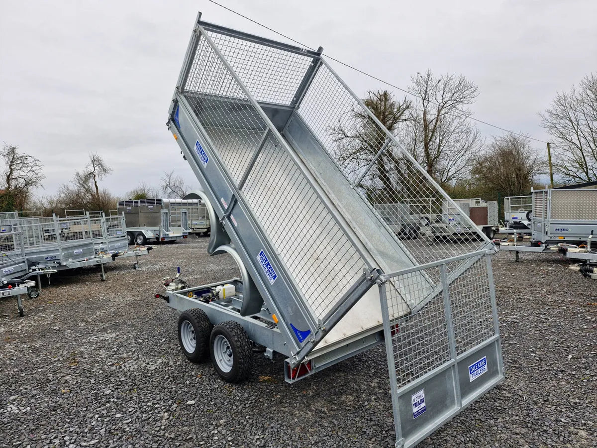 DALE KANE 10' x 5'6" TIPPING TRAILER