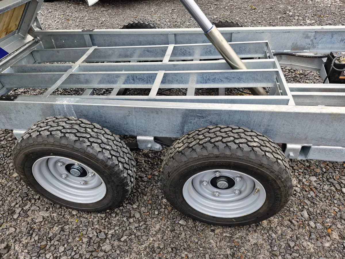 DALE KANE 10' x 5'6" TIPPING TRAILER