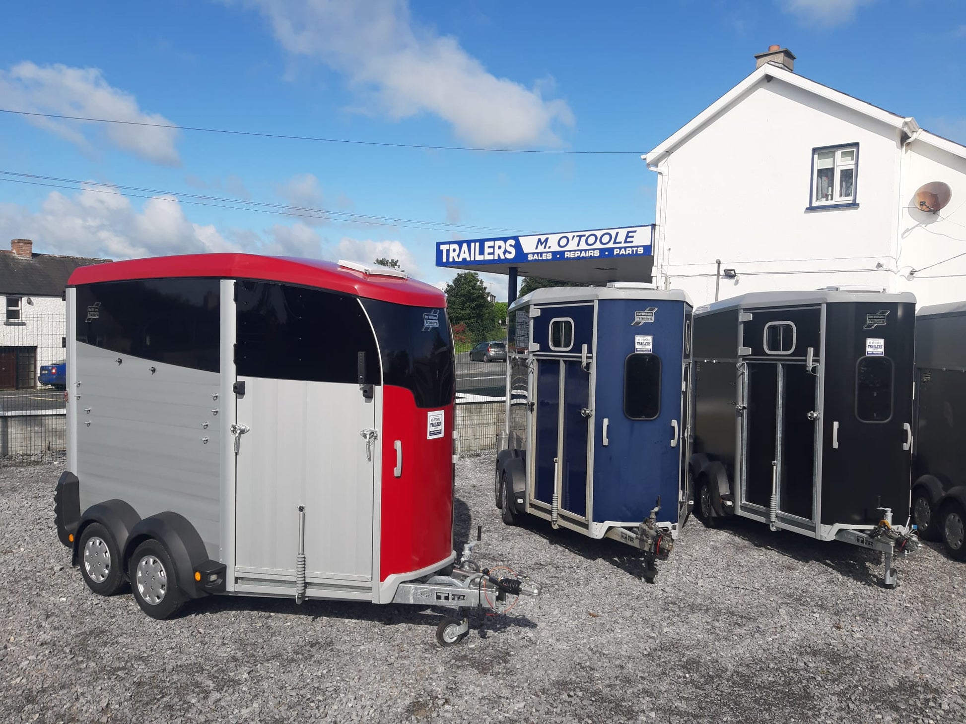 IFOR WILLIAMS HBX511 HORSEBOXES